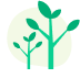 Kariba