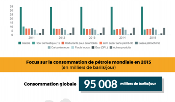 Consommation de pétrole et produits pétroliers : le point