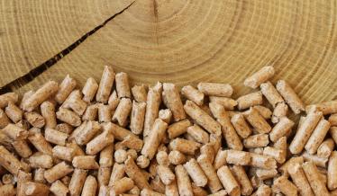 pellet de bois