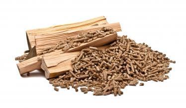 différents types de bois