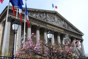  le projet de loi réexaminé à l’Assemblée le 19 mai 2015