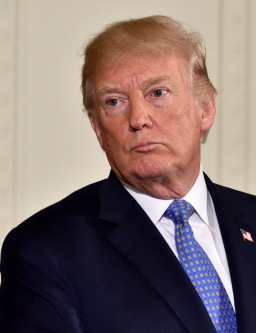 Donald Trump, président des Etats-Unis